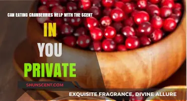 Cranberries and Private Hygiene: Can They Freshen Your Intimate Scent?