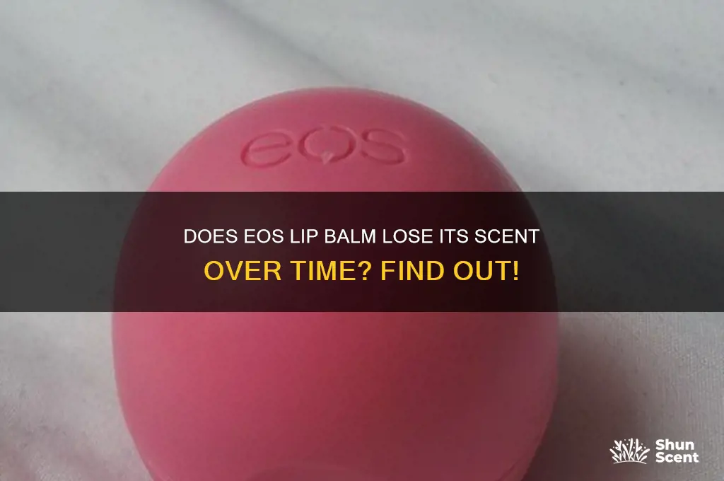 can eos lip balm lose its scent