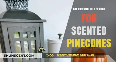 Scented Pinecones with Essential Oils: A Natural Aromatic Craft