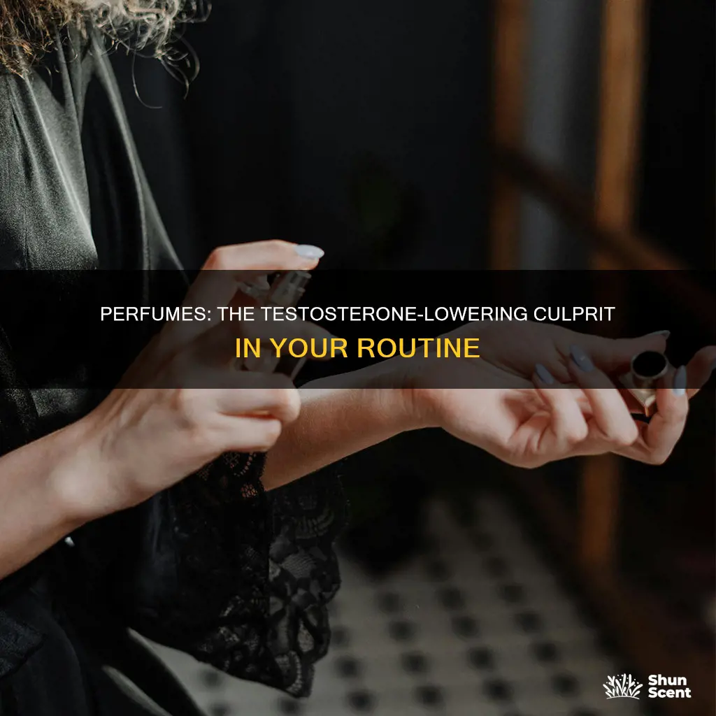 can everyday use of perfume lowers testosterone