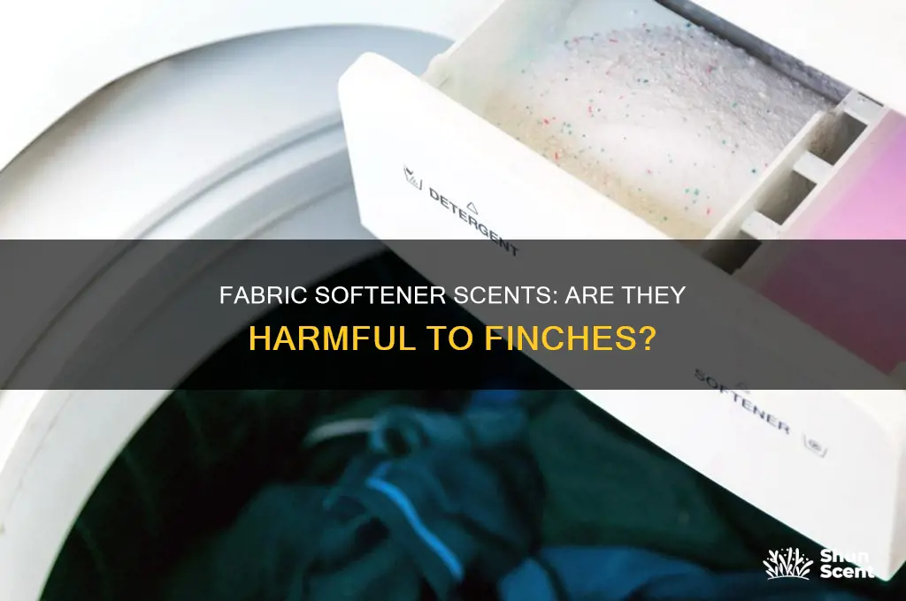 can fabric softener scent kill a finch