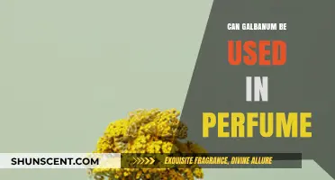 Galbanum's Unique Scent: A Perfume Ingredient?