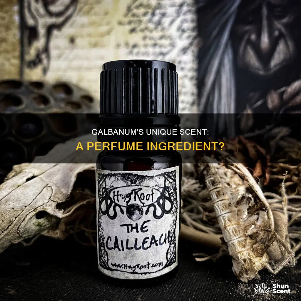 can galbanum be used in perfume