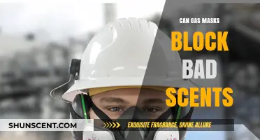 Can Gas Masks Effectively Block Unpleasant Odors? A Detailed Analysis