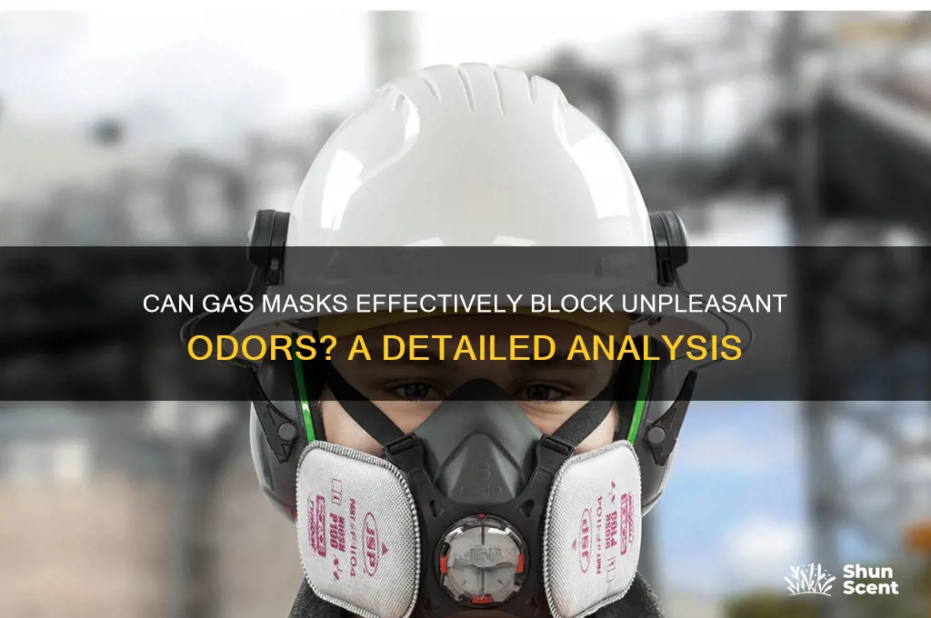 can gas masks block bad scents