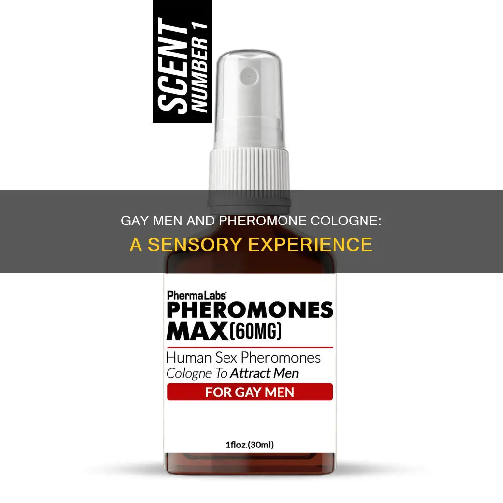 can gay guys wear pheromone cologne