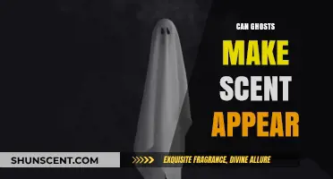 Can Ghosts Trigger Mysterious Scents? Exploring Olfactory Paranormal Phenomena