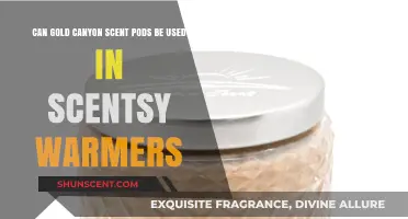 Using Gold Canyon Scent Pods in Scentsy Warmers: Compatibility Guide