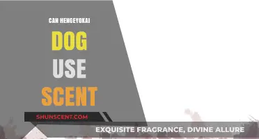 Exploring Hengeyokai Dogs' Scent Abilities: Myth vs. Reality