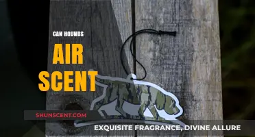 Can Hounds Air Scent? Unlocking the Science Behind Their Tracking Abilities