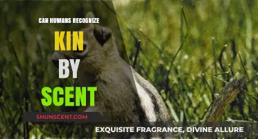 Can Humans Identify Family Through the Power of Scent?
