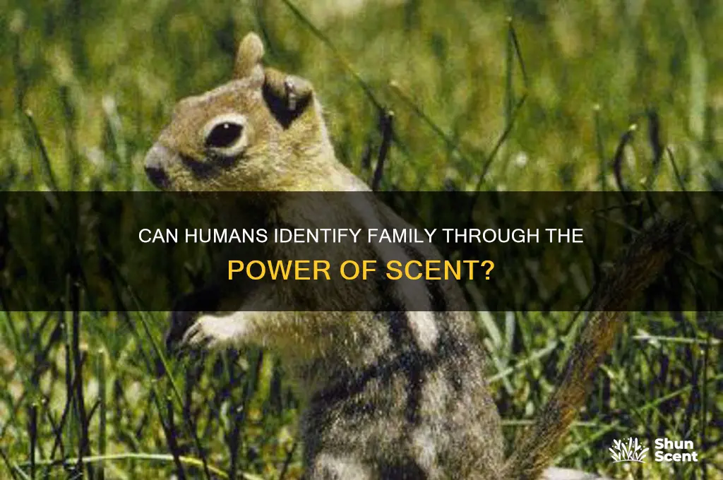 can humans recognize kin by scent