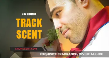 Can Humans Track Scents Like Dogs? Unlocking Our Olfactory Potential