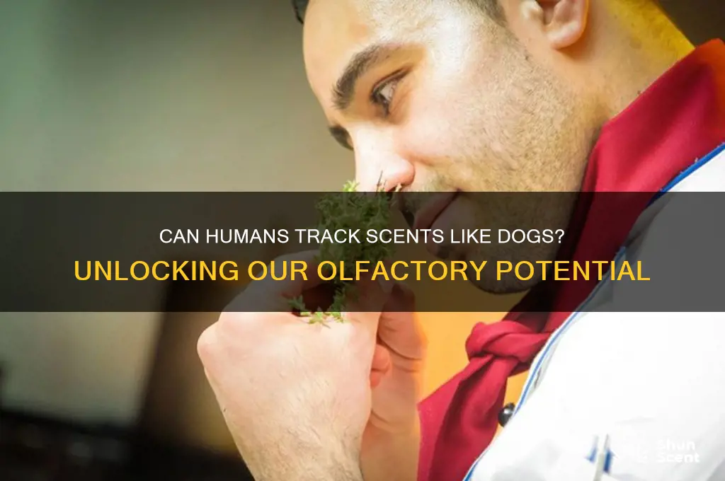 can humans track scent