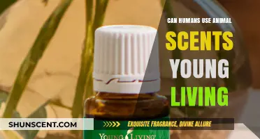 Exploring Animal Scents: Can Humans Benefit from Young Living's Range?