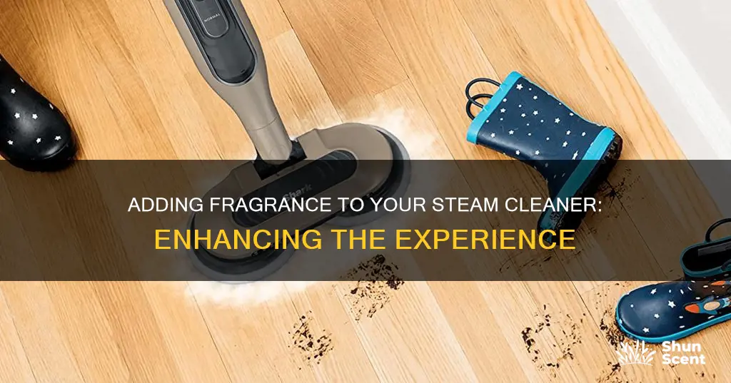 can i add fragrance to my steam cleaner