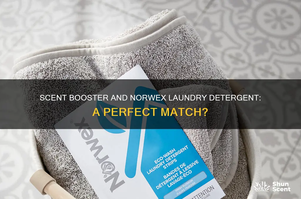can i add scent booster with norwex laundry detergent