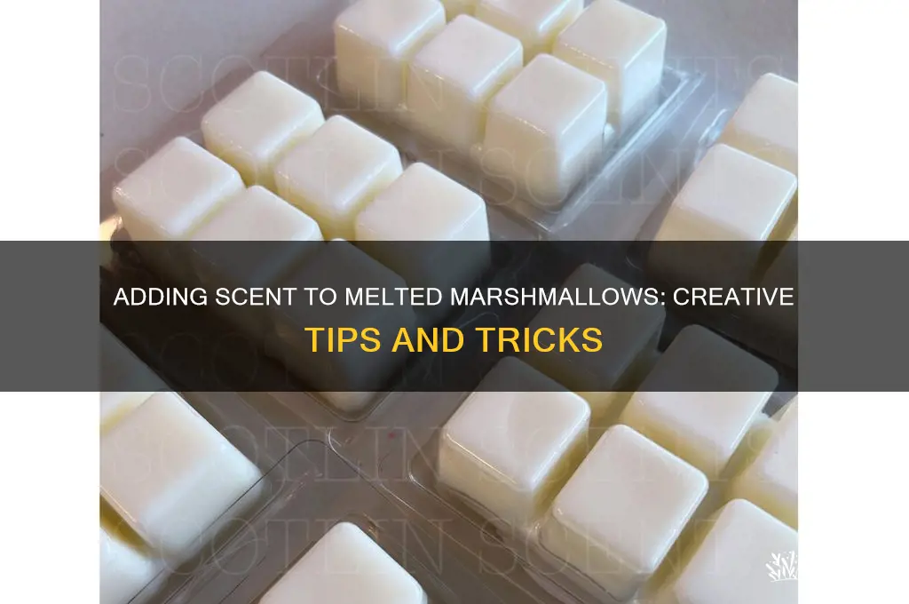 can i add scent to melted marshmallows