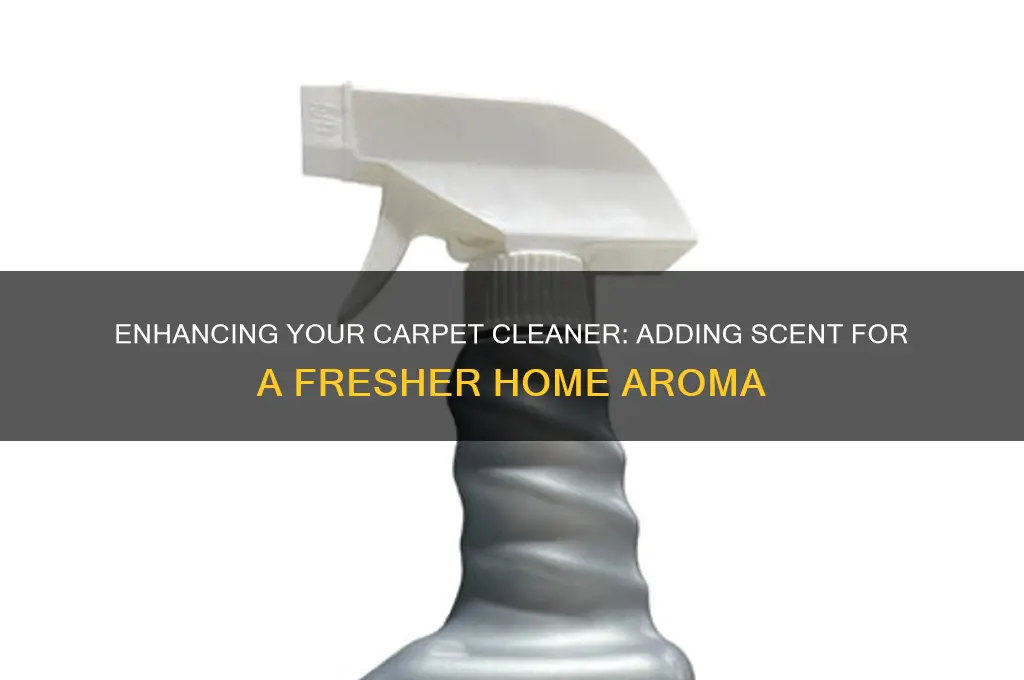 can i add scent to my carpet cleaner machine