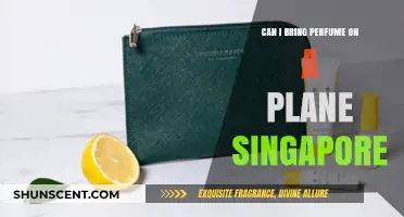 Flying with Fragrance: Can I Bring Perfume on a Plane?