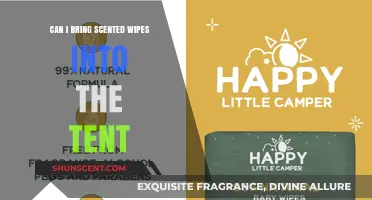 Scented Wipes in Tents: A Camping Essential or Risk?