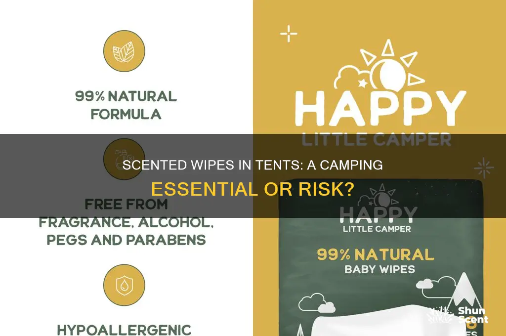 can i bring scented wipes into the tent