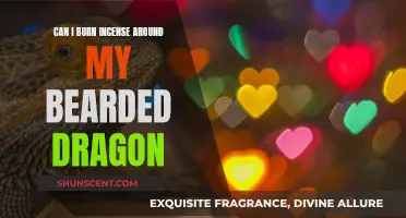 Incense and Bearded Dragons: Safe or Not?