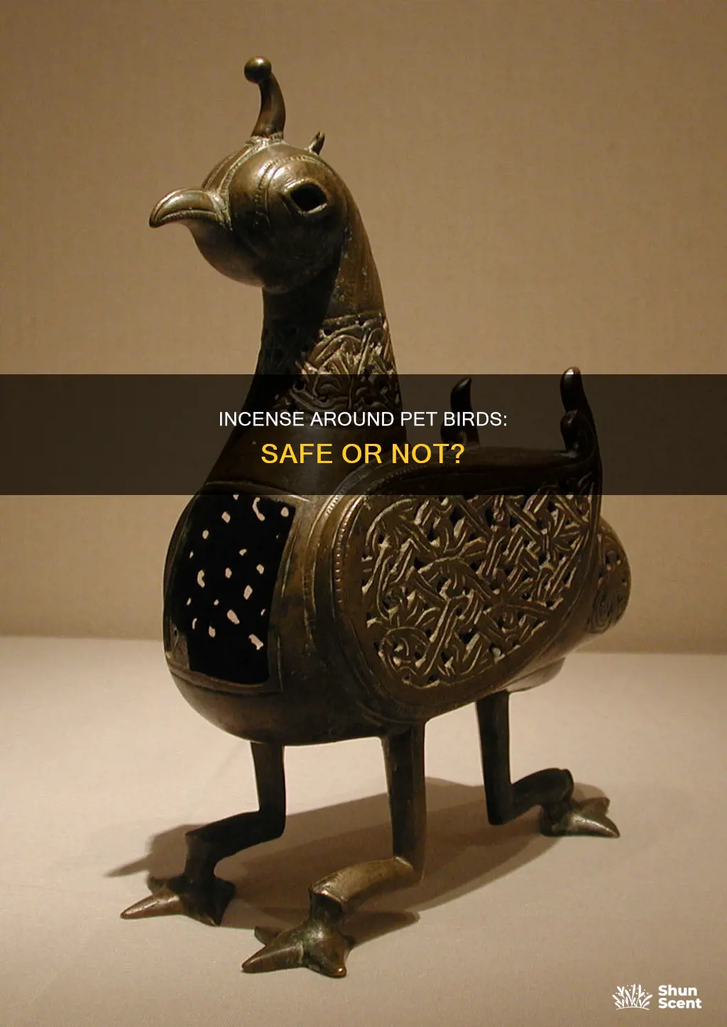 can i burn incense around my bird