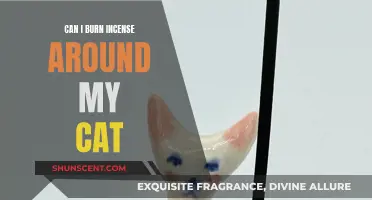 Incense Around Cats: Safe or Not?