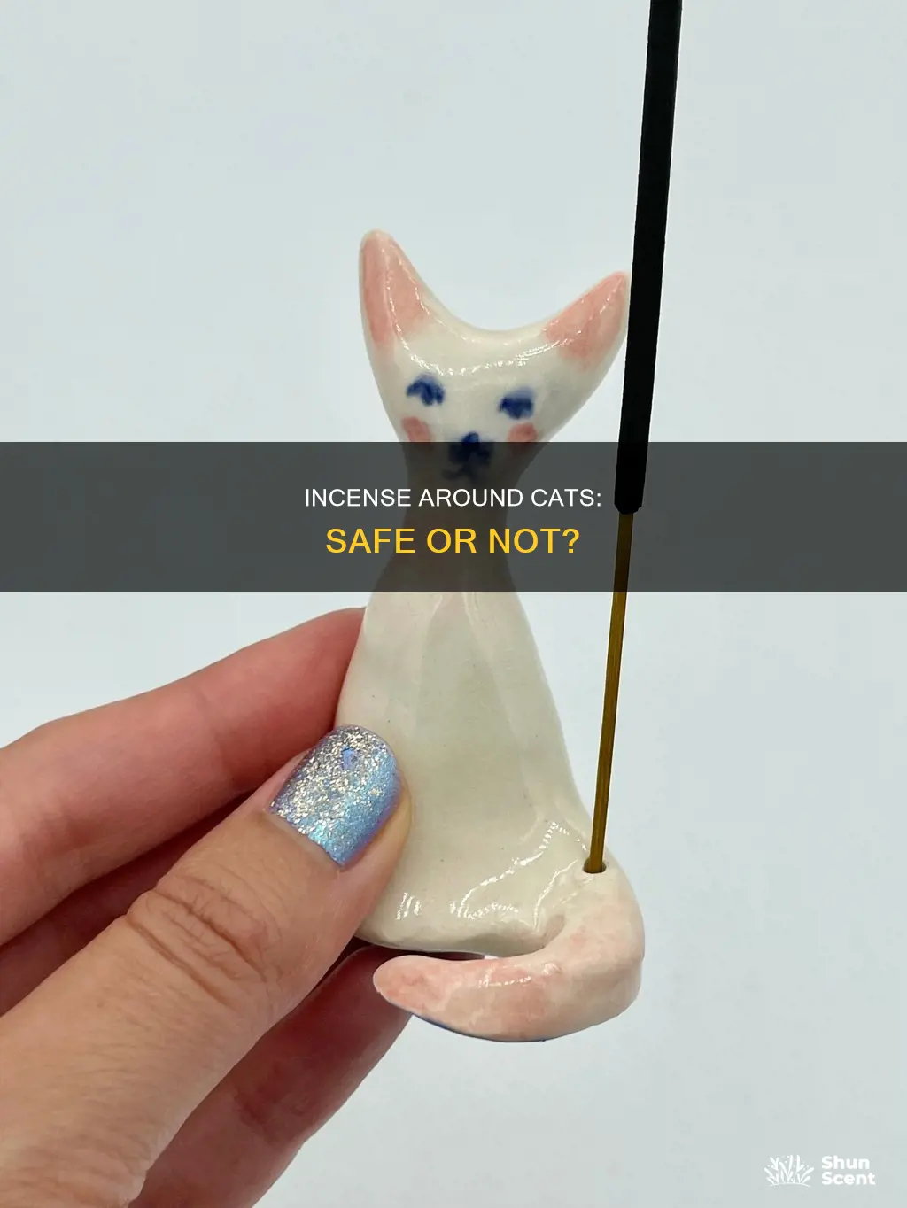 can i burn incense around my cat