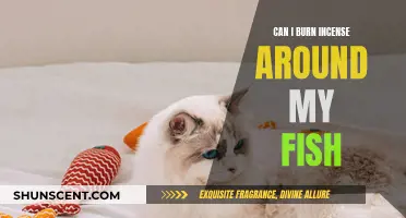 Burning Incense: Safe or Toxic for Fish?