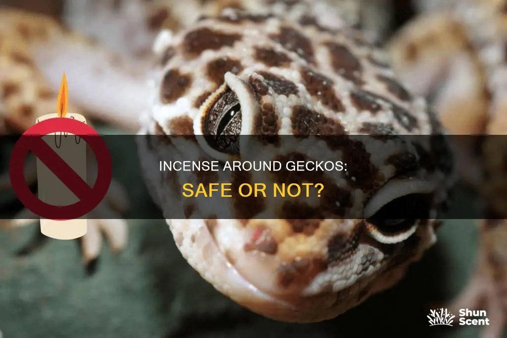 can i burn incense around my geckos
