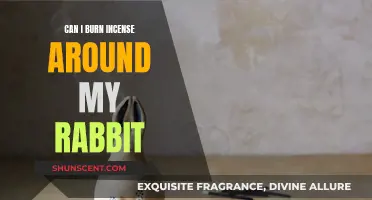 Incense Around Rabbits: Safe or Toxic?