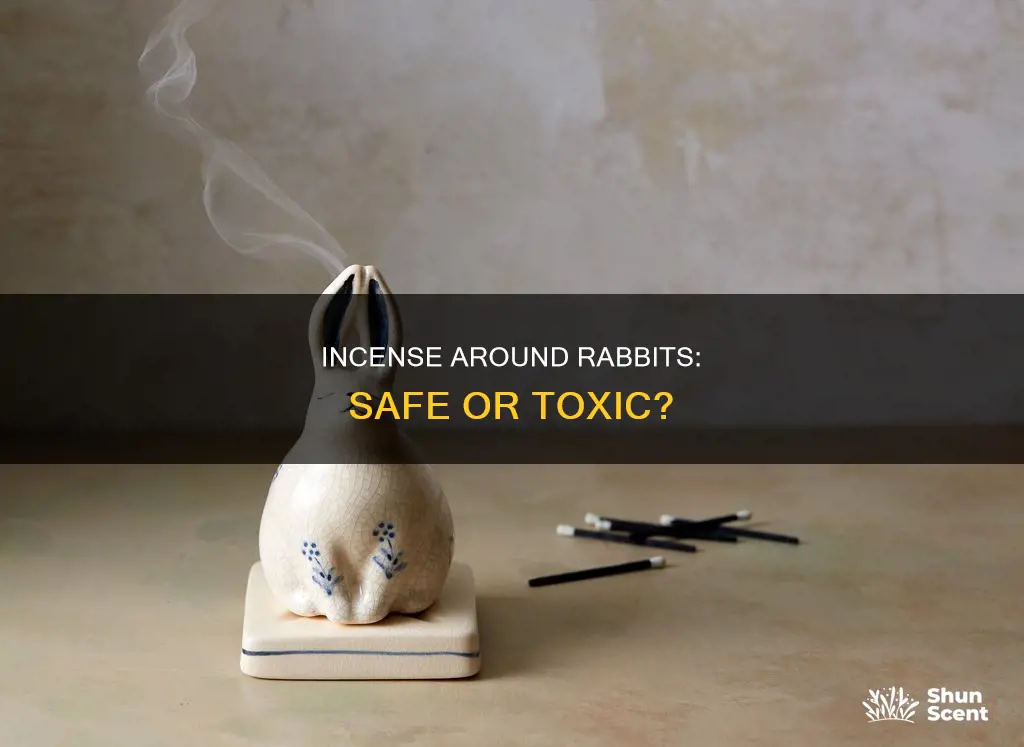 can i burn incense around my rabbit