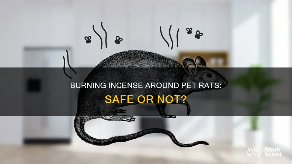 can i burn incense around my rat