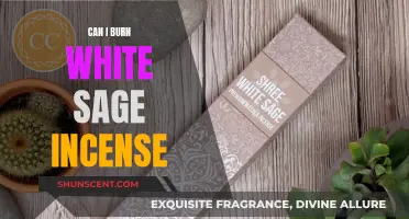 Burning White Sage Incense: Safe or Not?