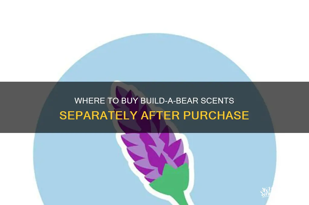 can i buy build a bear scents after