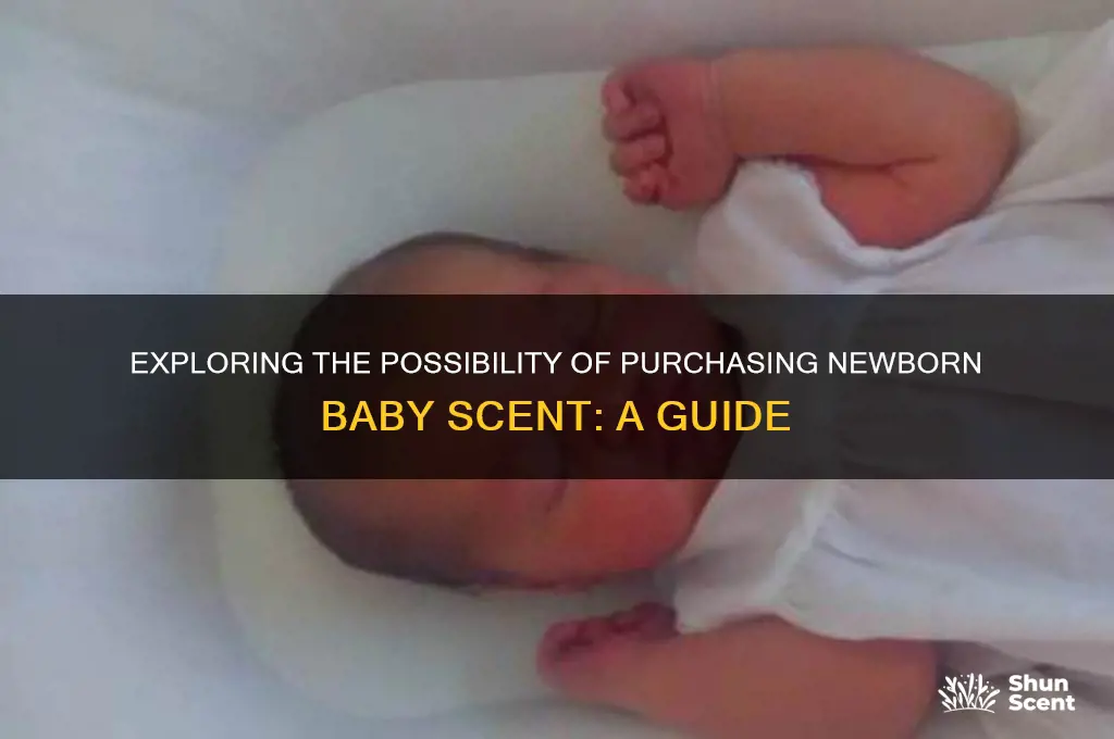 can i buy new baby scent
