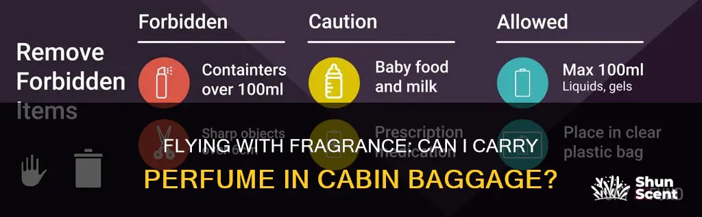 can i carry perfume in cabin bag