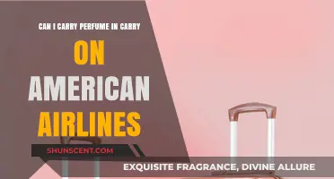 American Airlines: Can I Carry Perfume in My Carry-On?