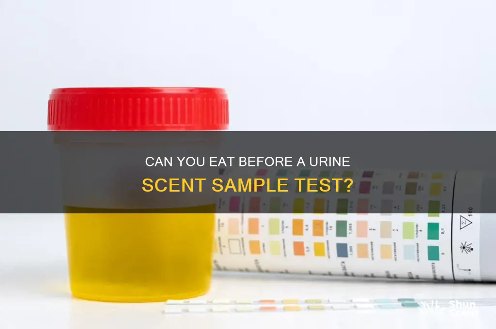 can i eat when i get a urine scent sample