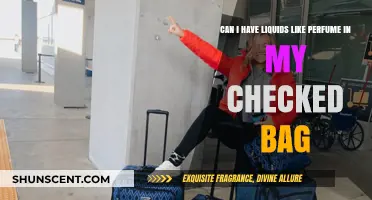 Travel Tip: Liquids in Checked Bags
