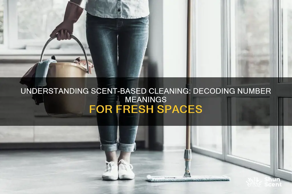 can i have scent to clean number meaning