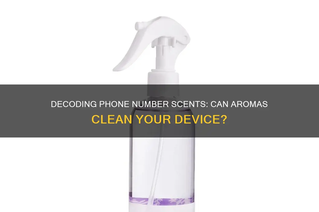 can i have scent to clean phone number meaning