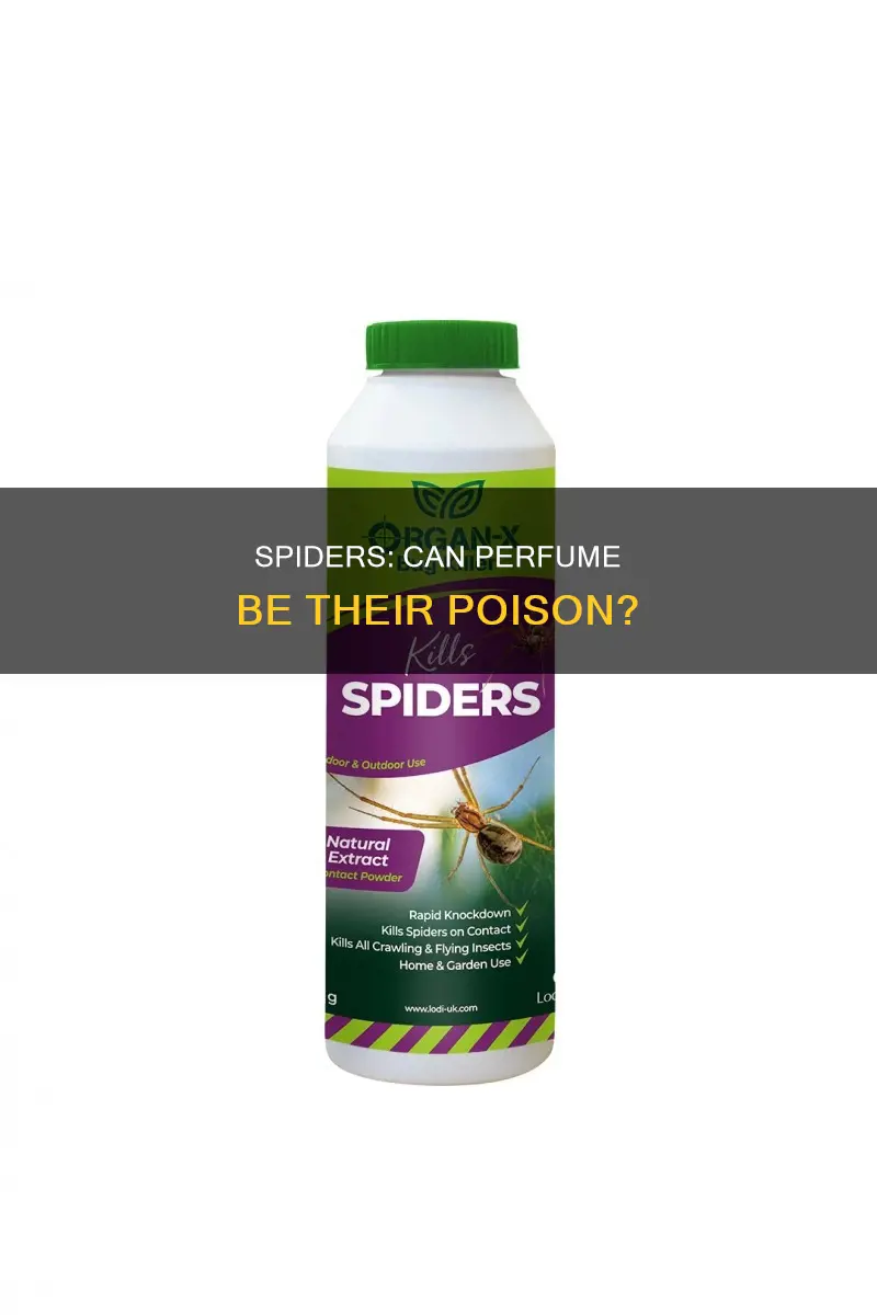 can i kill a spider with perfume