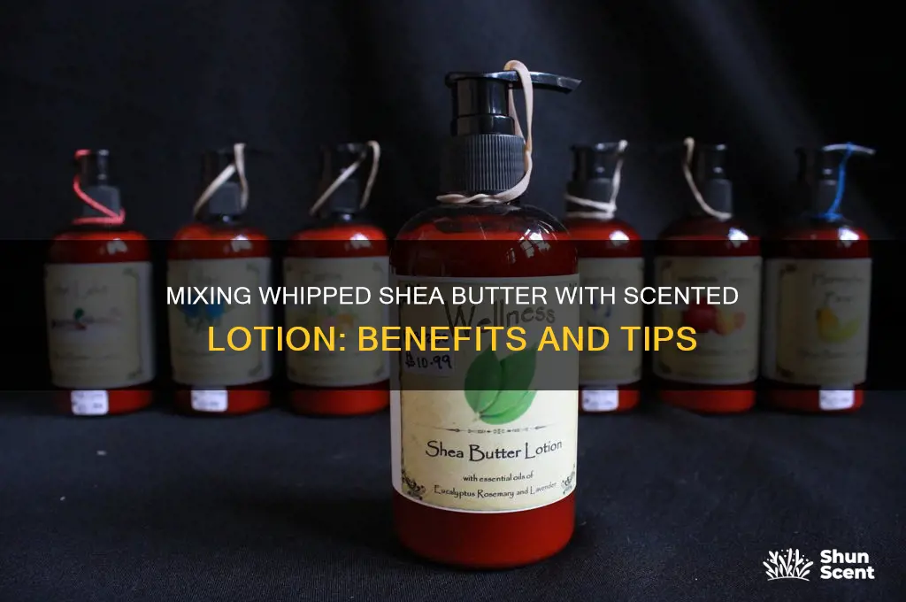 can i mix whipped shea butter with scented lotion