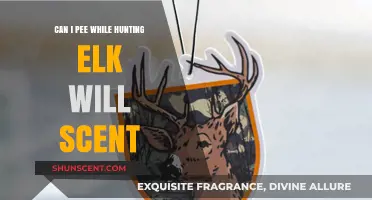 Elk Hunting: Managing Human Scent and Bathroom Breaks in the Field