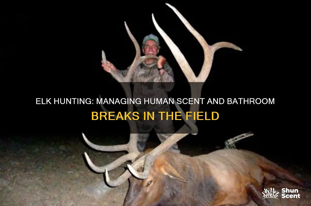 can i pee while hunting elk will scent