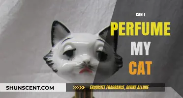 Perfuming Cats: Safe or Not?