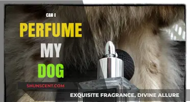 Should You Perfume Your Dog?